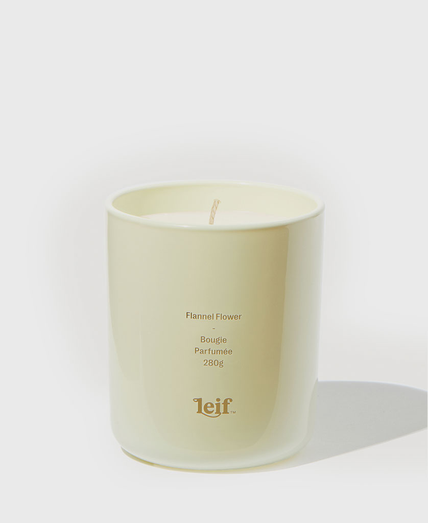 FLANNEL FLOWER CANDLE