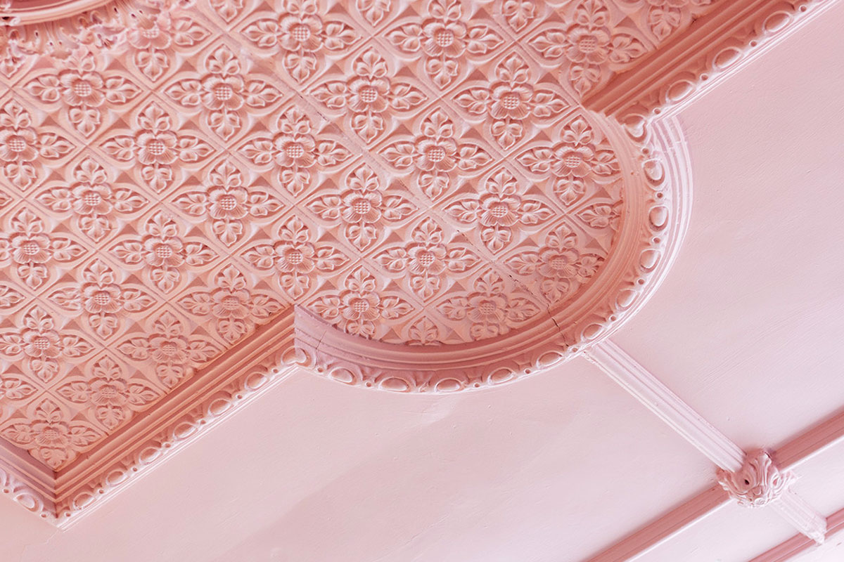 Colleen's Top Picks of 2024