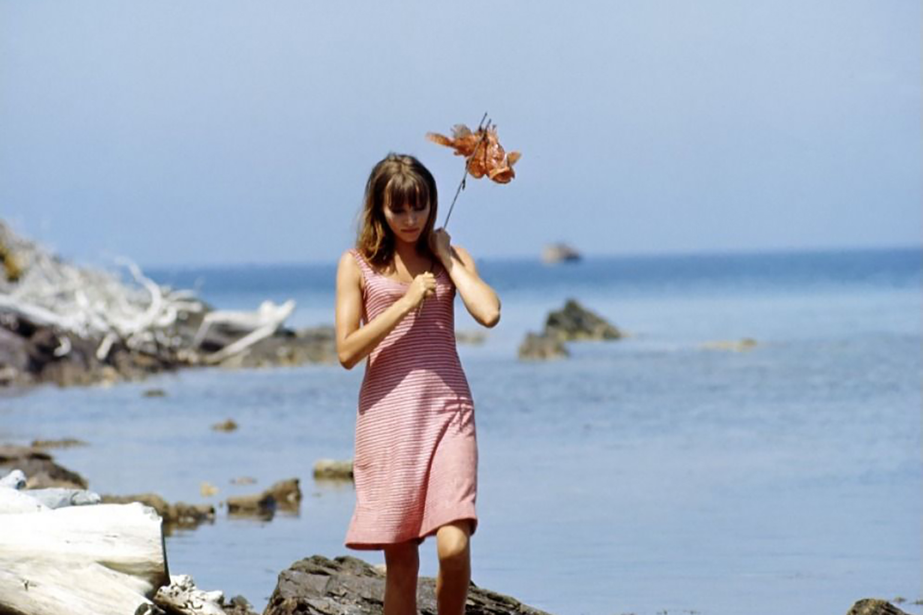 Sunny days! Pack Your Bags