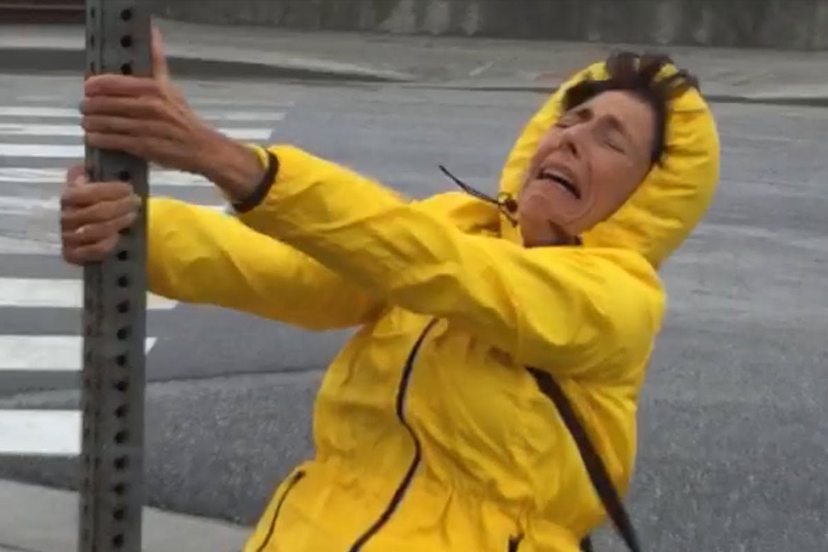 All Season Hair Serums