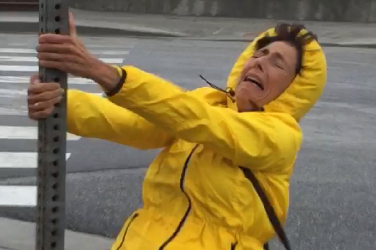 All Season Hair Serums