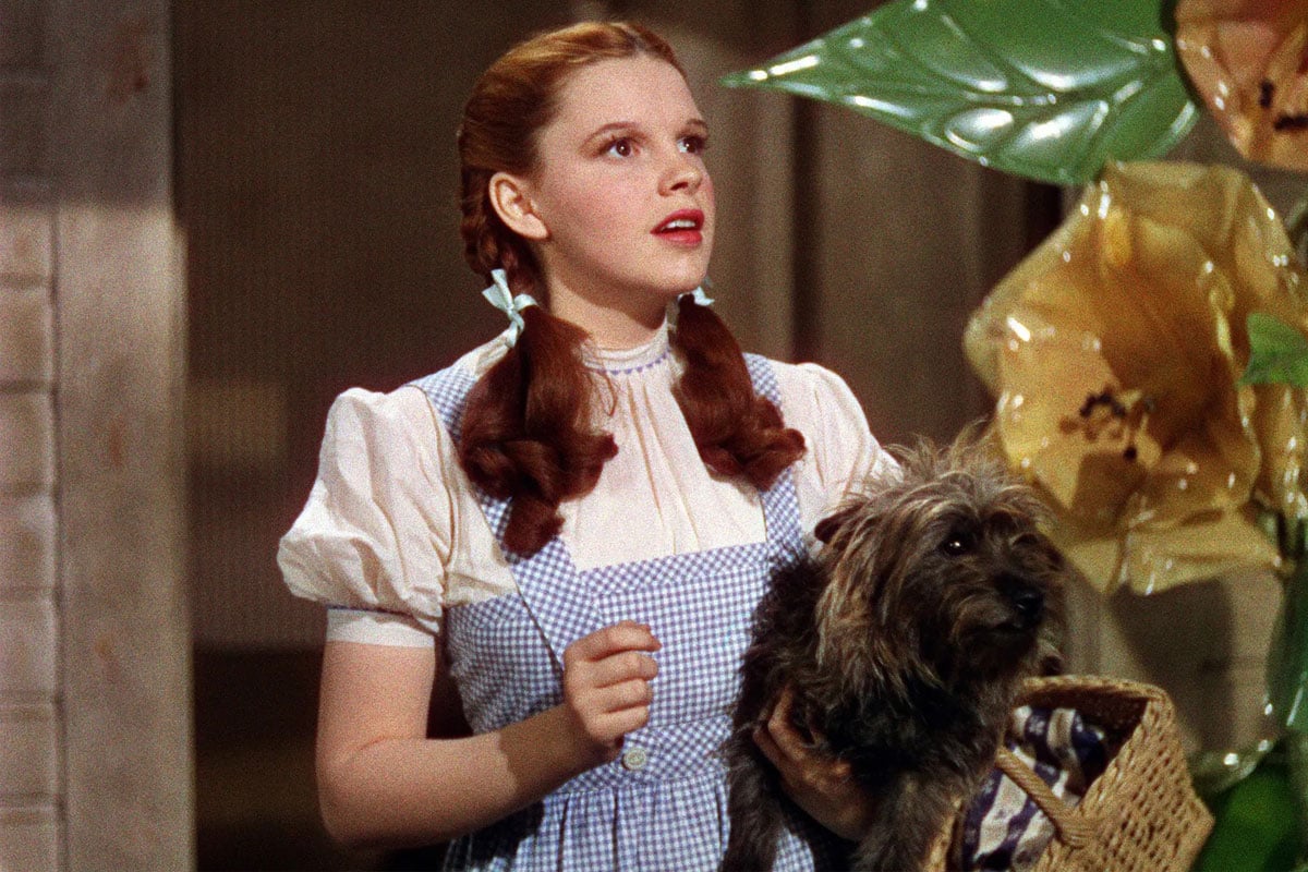 Wrapped Up In Ribbons