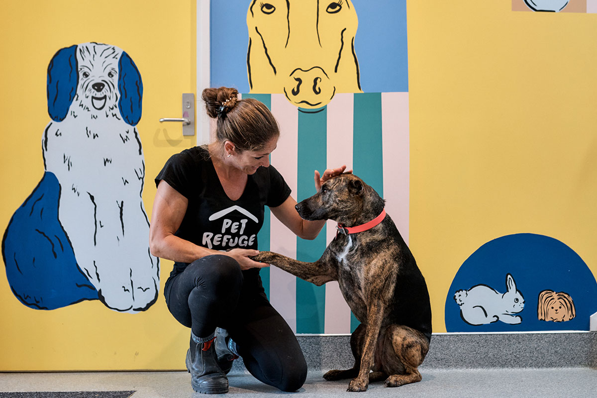 COLLEEN FOR GOOD x PET REFUGE