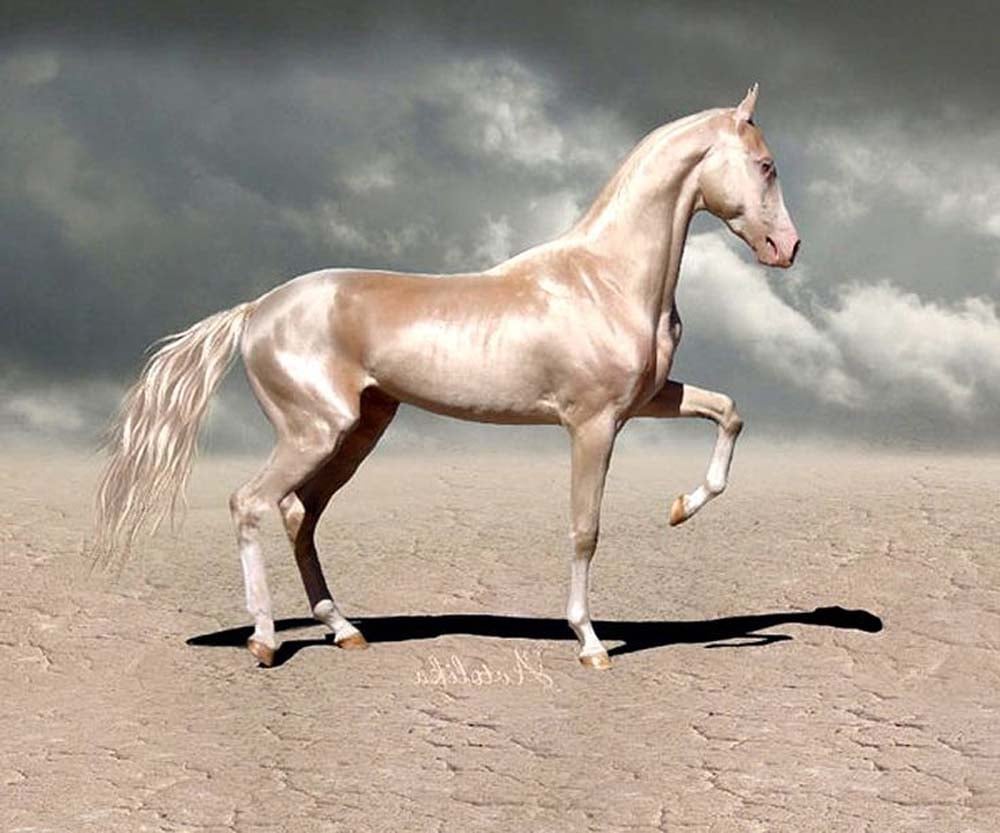Hair trends in the Year of the horse