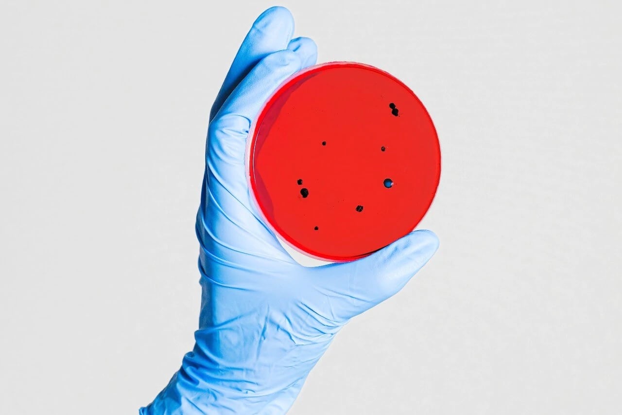 Five Stars For Topical Probiotics