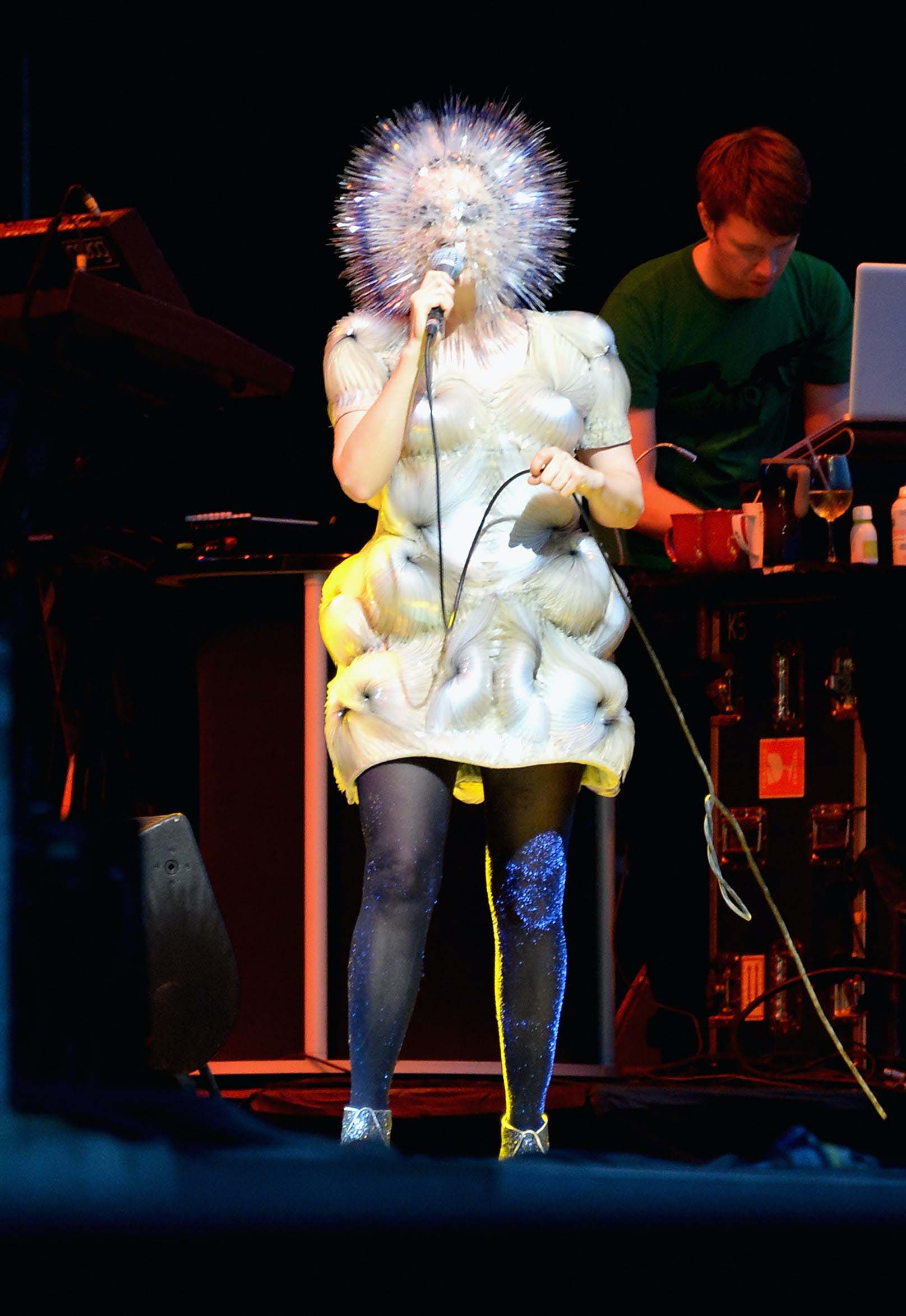 Bjork Hair Lexicon colleen
