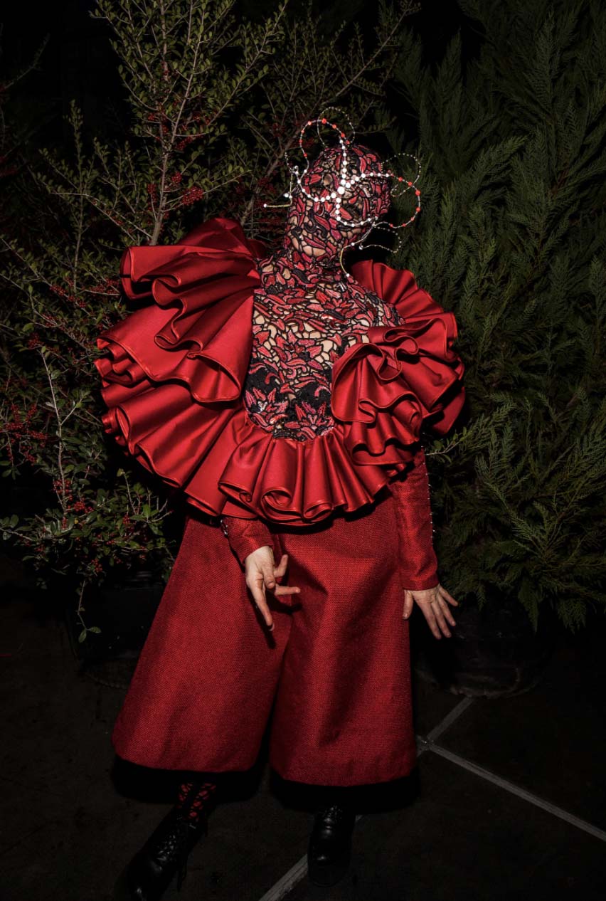 Bjork Hair Lexicon colleen