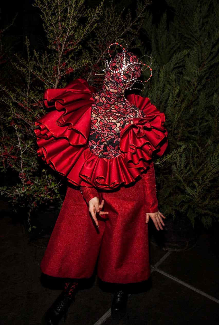 Bjork Hair Lexicon colleen