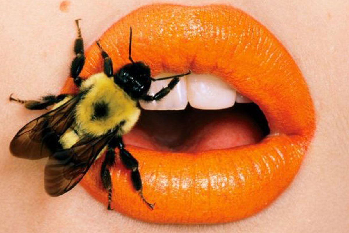Beauty Podcasts