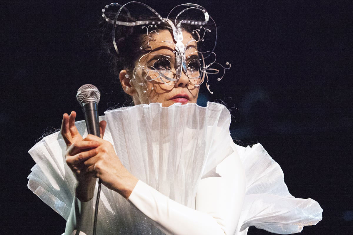 Bj&ouml;rk Hair Lexicon