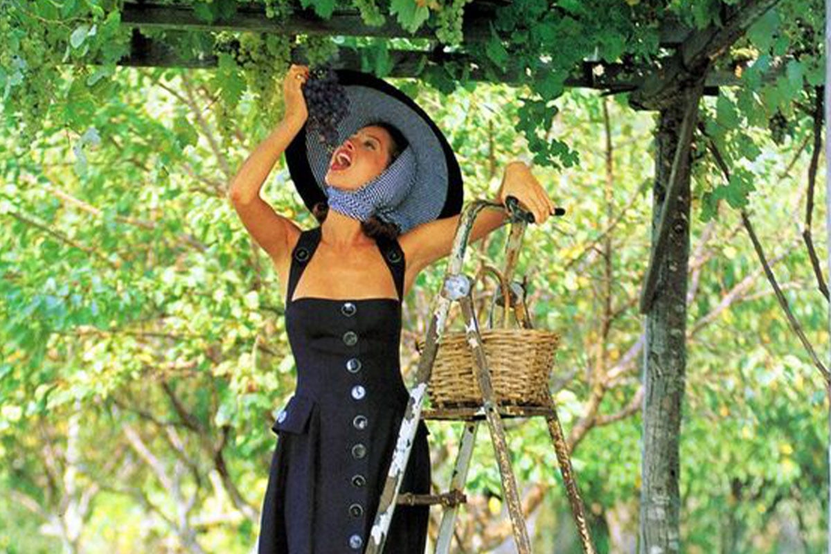 Colleen's Quick Guide To Vitamin C