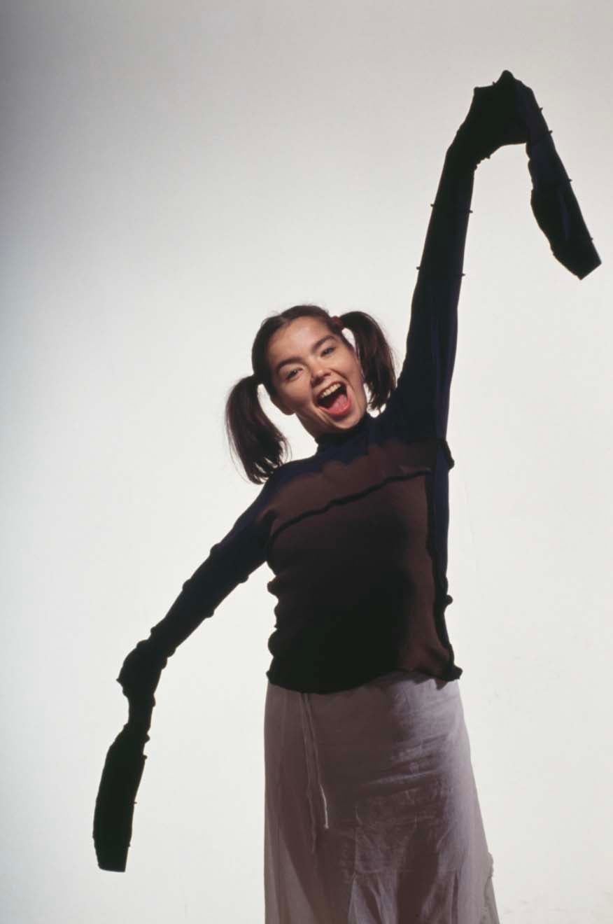 Bjork Hair Lexicon colleen