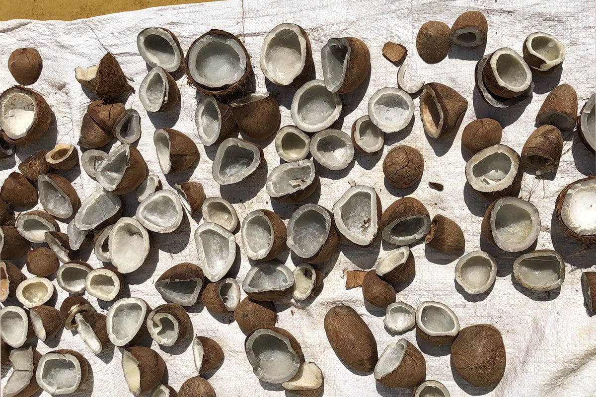 Coconut Oil - Is It The Ultimate Wonder Oil?
