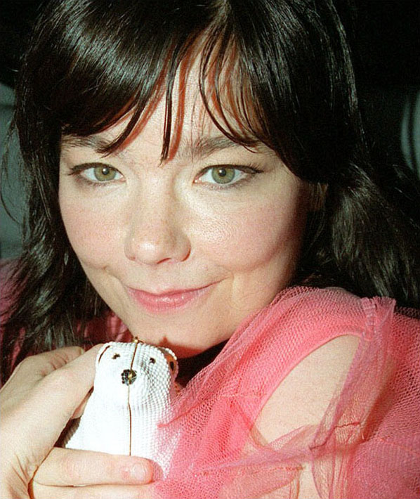 Bjork Cannes Film Festival colleen bjork hair lexicon
