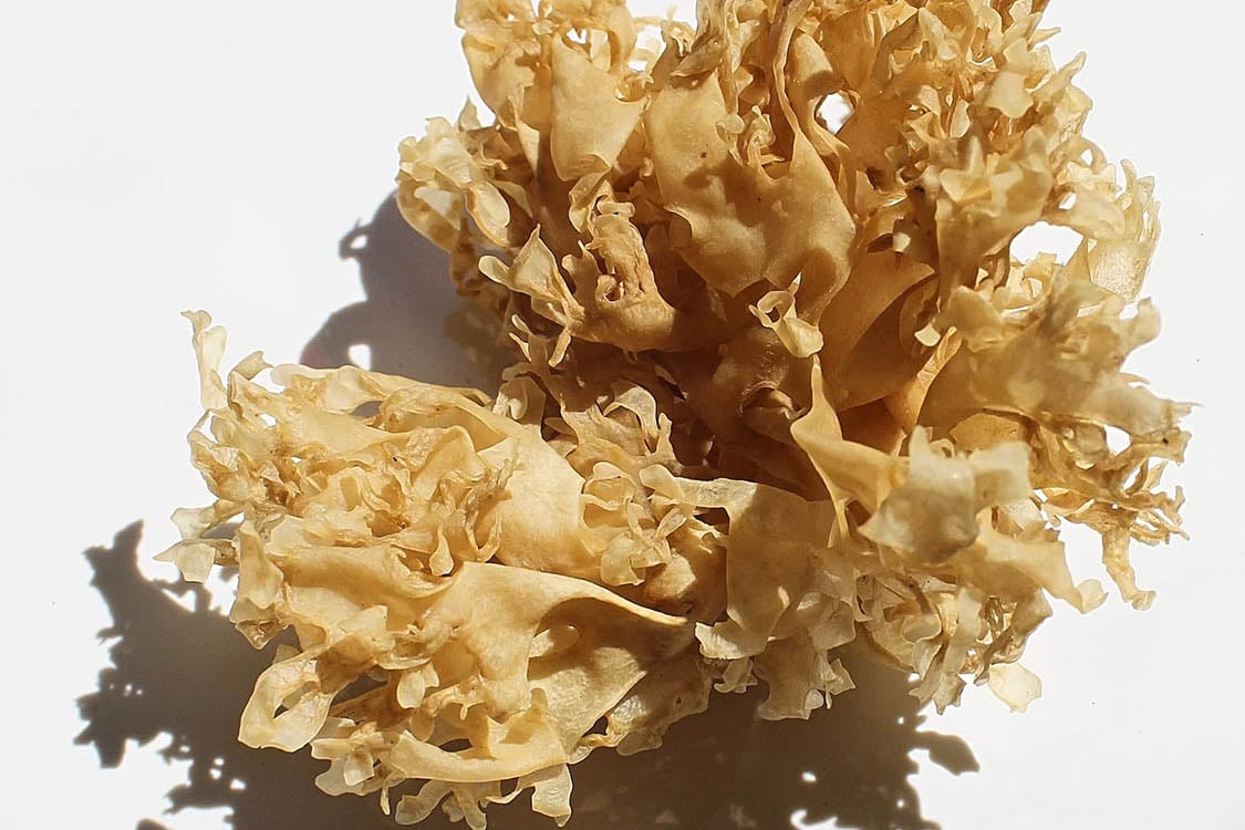 Ingredient: Sea Moss