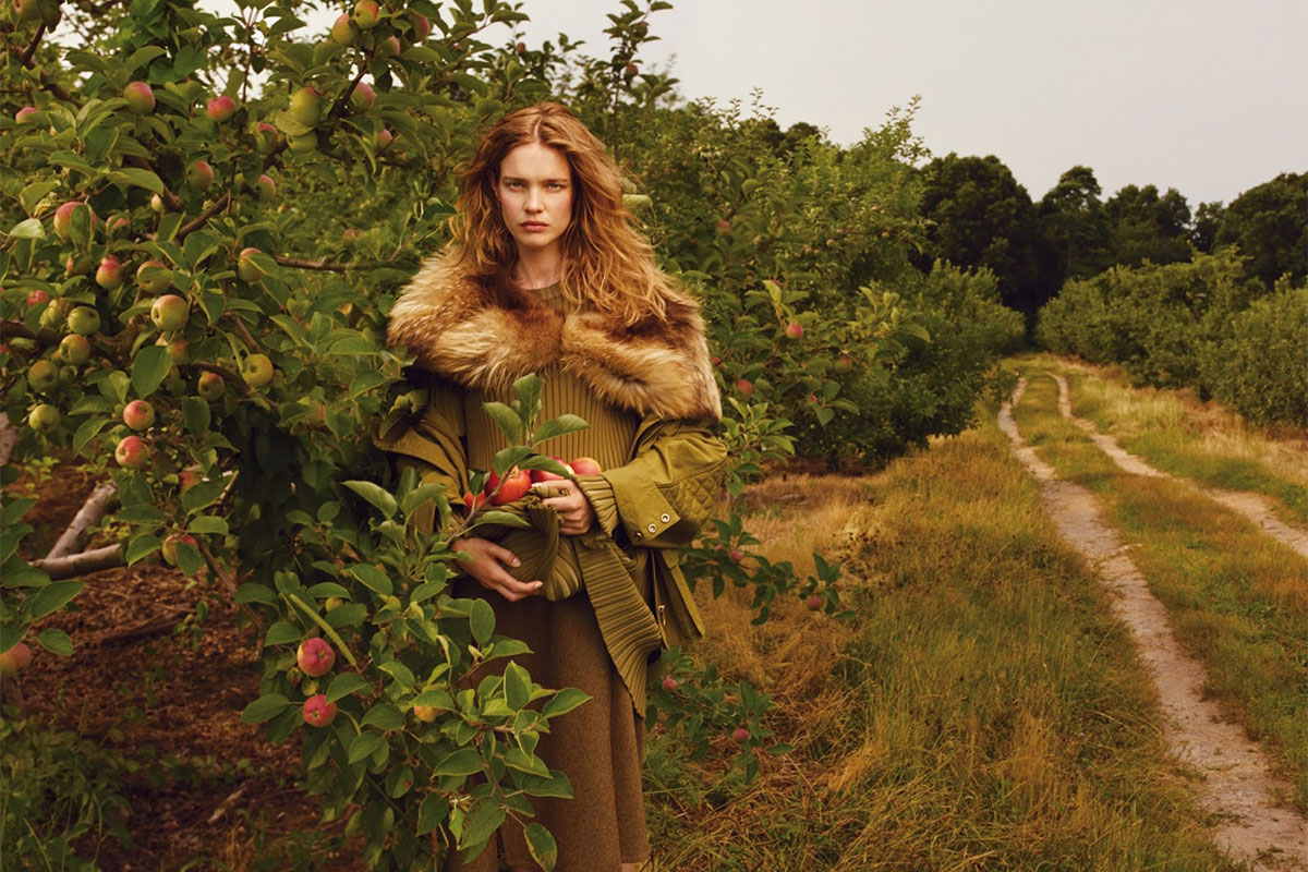 autumn Scent Mood Board
