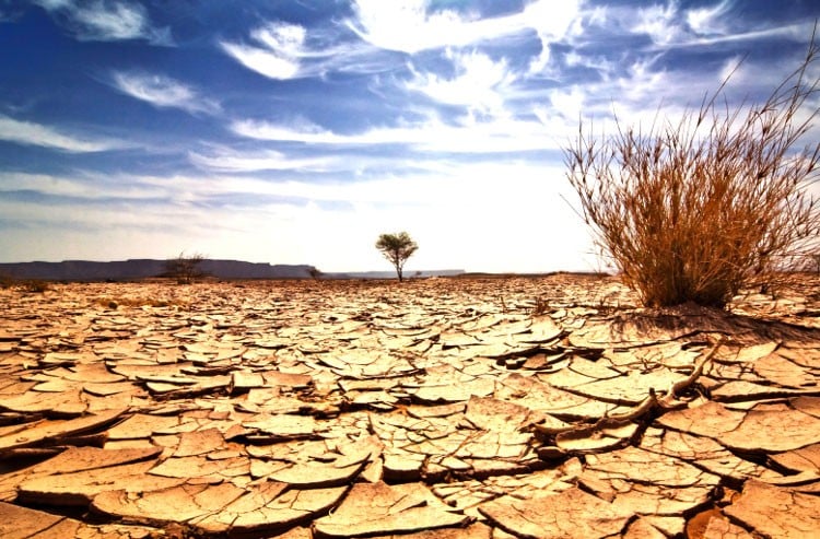 Itchy Scalp Join The Club