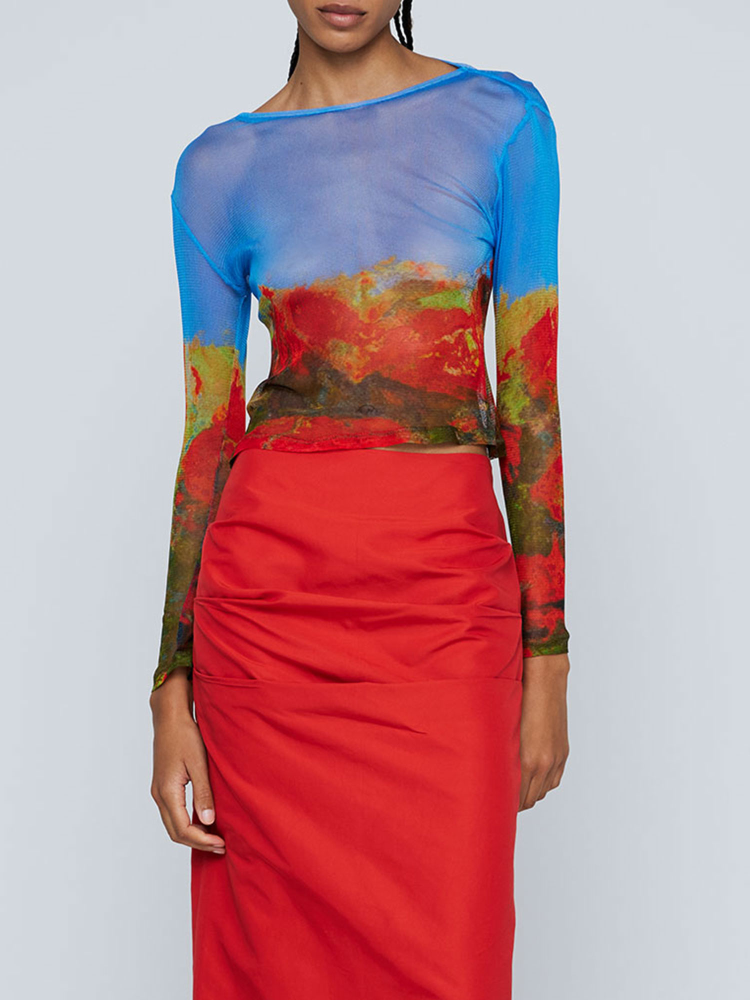 MESH LONG SLEEVE TOP - ROSE FIELD